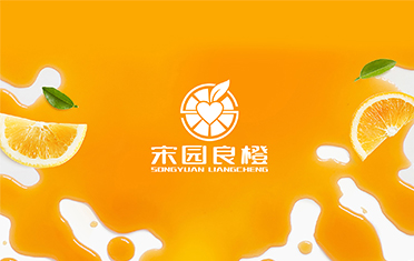 某良橙——广东LOGO设计